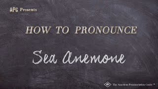 How to Pronounce Sea Anemone Real Life Examples [upl. by Bowne]