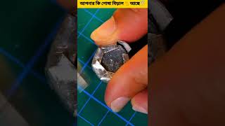 আপনার কি পোষা বিড়াল 🐈আছে😇 banglarfacts shortvideo video amazingfacts youtubeshorts [upl. by Alamac]