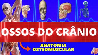 OSSOS DO CRÂNIO  ANATOMIA HUMANA  ANATOMIA DOS OSSOS DO CRÂNIO  SISTEMA ESQUELÉTICO [upl. by Nanreit516]