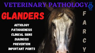 Glanders Equine Farcy  Aetiology  Pathogenesis  Symptoms amp Diagnosis [upl. by Inamik]