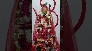 Kali Mai Kali Mai song kalipuja काली मां पूजा 🙏shorts ytviral kalimaakalimatamahakali love [upl. by Costin]