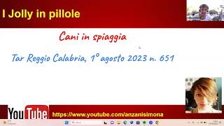 I Jolly in pillole Cani in spiaggia commento a Tar Reggio Calabria 1° agosto 2023 n 651 [upl. by Suoiluj]