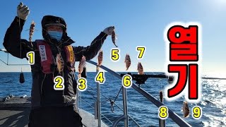 열기낚시 대박 느나느나 비싼 생선 직접 잡아먹자 Goldeye rockfish [upl. by Hardigg]