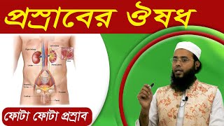 ফোটা ফোটা প্রস্রাব বন্ধের উপায়  প্রস্রাবের রাস্তায় পাথর  Urinary Retention Homeo Treatment [upl. by Jerrol]