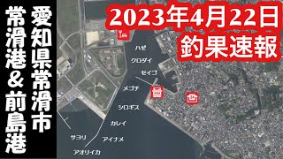 【愛知県釣り】知多半島！常滑港！釣果速報2023年4月22日 [upl. by Beverlee257]