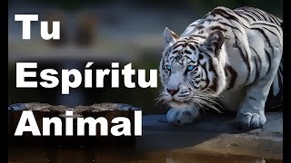 Tu Espíritu Animal Según tu Signo del Zodiaco viral viralvideo [upl. by Anilev878]