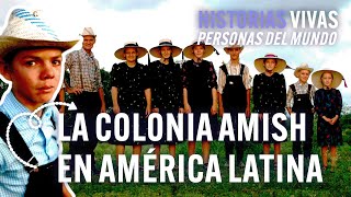 Los amish americanos ¿una colonia menonita en sudamérica  Historias Vivas  Documental HD [upl. by Orlene]