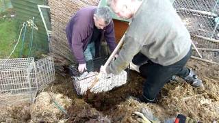 Seddlescombe Badger caught in electric fence 2nd March 2010 [upl. by Adnicaj]