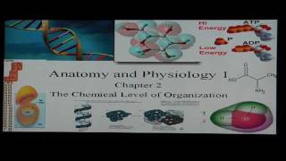 Anatomy and Physiology Help Chapter 2 Anatomy I Basic Chemistry and Biochemistry Review [upl. by Assirual]