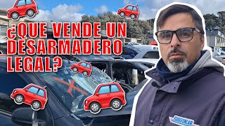 ¿Que vende y como trabaja un desarmadero en Argentina surgeoncar desarmadero desarme autopartes [upl. by Ettevahs]