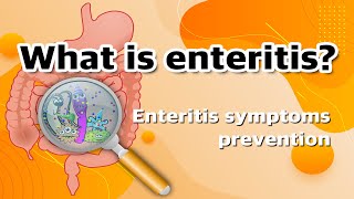 What is Enteritis  Enteritis Prevention and Treatment [upl. by Yanad792]