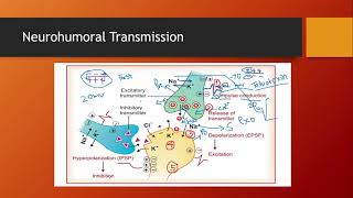 Neurohumoral Transmission in ANS And CNS [upl. by Avruch]