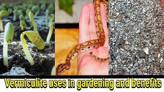 What is vermiculite and its use in hindi [upl. by Einapets]