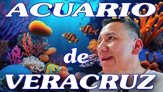 VISITAMOS EL ACUARIO DE VERACRUZ [upl. by Aseiram]