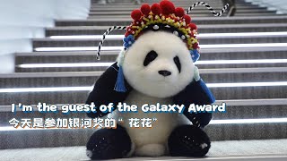 Hua Hua Attends The Galaxy Award  iPanda [upl. by Maddis376]