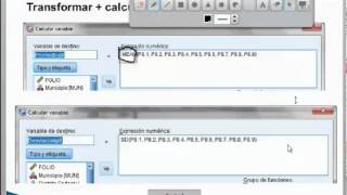 Transformar variables SPSS [upl. by Nylecaj]