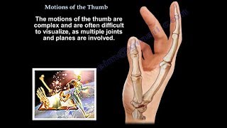 Motions Of The Thumb  Everything You Need To Know  Dr Nabil Ebraheim [upl. by Arun396]