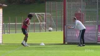 Dante  individual training [upl. by Anay]