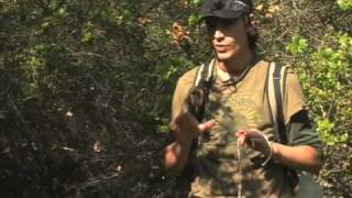 Basic Wilderness Survival Skills  Wilderness Survival Snare Hunting [upl. by Ientirb]