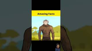 amazingfacts factbeast factsinhindi trending viral shorts facts [upl. by Annadroj62]