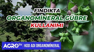 FINDIKTA ORGANOMİNERAL GÜBRE KULLANIMI  Kod Adı Organomineral  Agro TV [upl. by Ennovahs935]