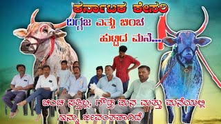 ಚಿಂಚ್ ನ ಹುಟ್ಟಿದ ಮನೆ ಹಾಗೂ ಹಿನ್ನೆಲೆ Famous chinch bull Ingalagi Bull terabandi bulls [upl. by Silverts]