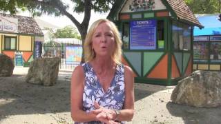 The Resort at Schlitterbahn New Braunfels A First Timers Guide [upl. by Haslam]