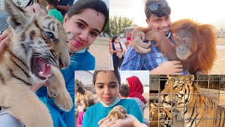 The Zoo Wild Life Park in umm al quwainzoo in UAEUmm al Quwain zooTravel with Achu [upl. by Gusti]