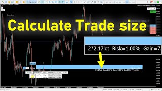 How to Calculate Position Size in MT5 Forex Position Size [upl. by Ferd]