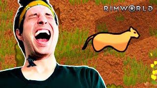 ПЕРВАЯ СВАДЬБА НЕ ЗА ГОРАМИ 🎮 Rimworld 5 [upl. by Frangos30]