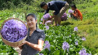 Pick Water Hyacinth From The Village Lake  Water Hyacinth Recipe  By Countryside Life TV [upl. by Niveg]