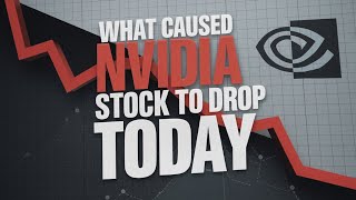 Shocking Reasons Behind Nvidias Stock Decline Nvidia stock  NVDA stock  Stock Market [upl. by Hillegass]