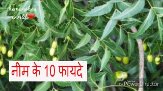 Neem benefits and uses in hindi  Wonder Herb Neem Benefits Uses  नीम के स्वास्थ्य फायदे [upl. by Woodberry]