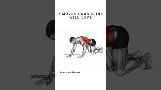 7 SpineLoving Exercises You NEED to Try [upl. by Seaddon]