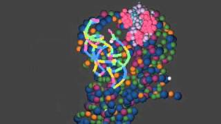 A Glimpse of the RNA World Ribozyme RNase P Bound with tRNA [upl. by Llehsal]