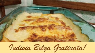 Indivia belga ricette – Indivia belga gratinata – Endives au jambon –Endive Recipe–Endivias–Endivien [upl. by Adella]