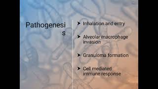 Mycobacterium kansasii [upl. by Eimirej]