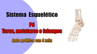 Ossos do Pé  Vídeo Completo  Anatomia Humana  Anatomia [upl. by Cullen]