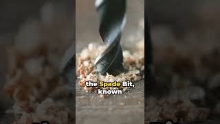 Forstner vs Spade Bits Exploring the Drill Differences diytools tools woodworking [upl. by Yrtneg]