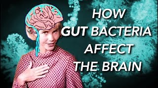 How the Gut Microbiome affects the Brain and Mind [upl. by Inaffyt]