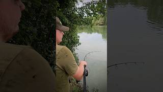 Fish on at Linear Fisheries carpfishing fishingvideo fishing catchandrelease [upl. by Frederic]