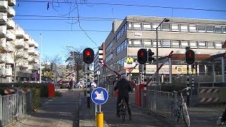 Spoorwegovergang Rotterdam  Dutch railroad crossing [upl. by Asiruam]