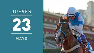 JUEVES 23 DE MAYO  GRAN VENTA SELECCIÓN  HARAS FIRMAMENTO [upl. by Amitie346]