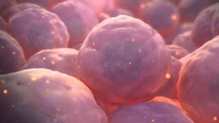 Stem Cell Animation [upl. by Rasec481]