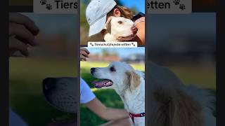 Tierschutzhunde retten 🐾❣️🐾 tierschutz rescuedog tierheim [upl. by Fen]