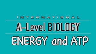 A Level Biology Energy and ATP [upl. by Rebme]