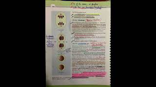 Cell cycle and cell division class 11 ncert Biology highlights [upl. by Eixela]