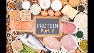 proteins biochemistry protein structure protein synthesis protein foods protein powder Tertiary [upl. by Ettolrahs610]