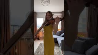 Edith Whiskers  Home  Violin Cover [upl. by Lishe328]