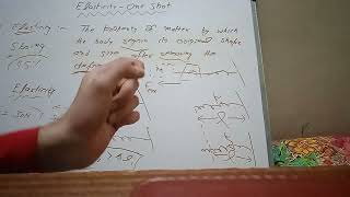 Elasticity Physics Class 11  One Shot Part 1 [upl. by Kolk]